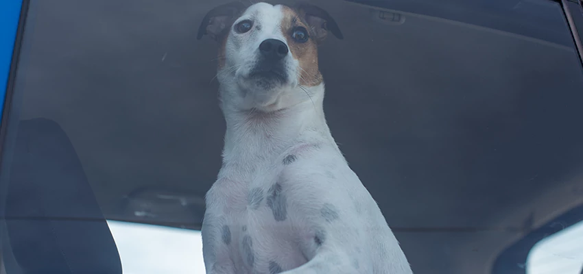 Car Lockout Solutions in Santa Barbara, California